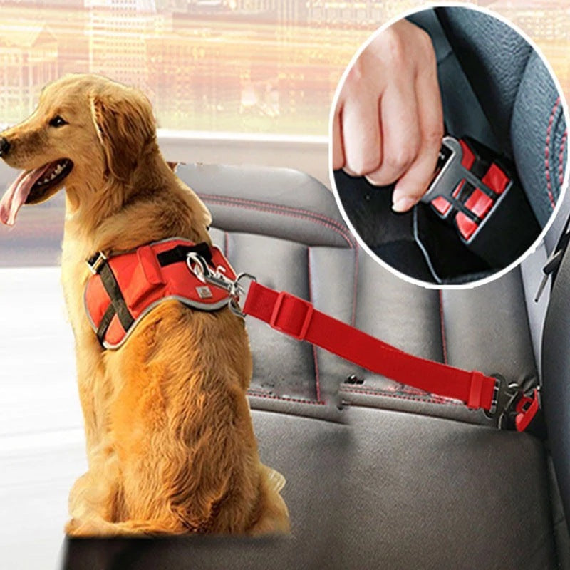 Adjustable Pet Seat Belt with Harness - Mortekk