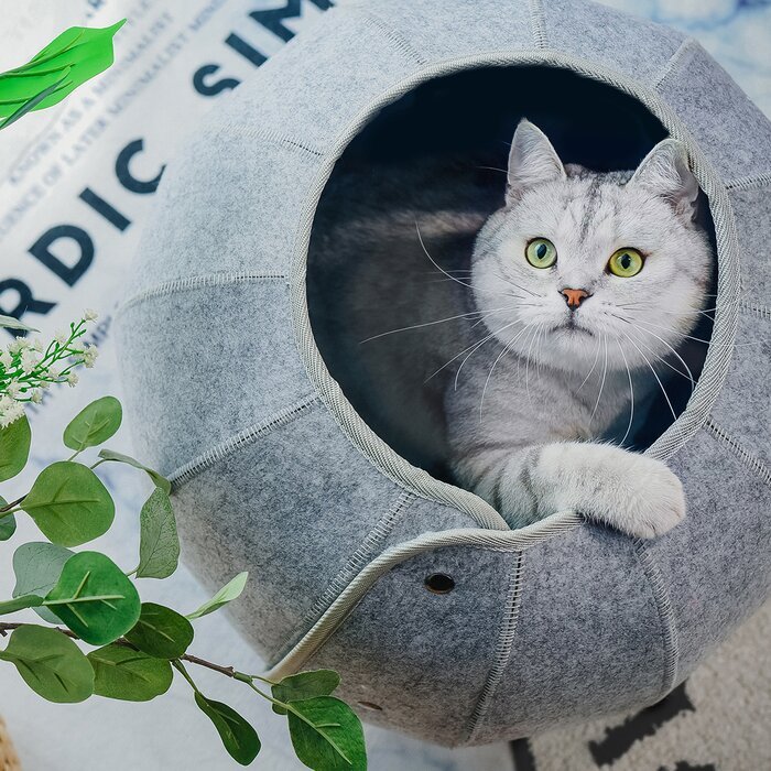 Foldable Awesome Cat Tunnel - Mortekk