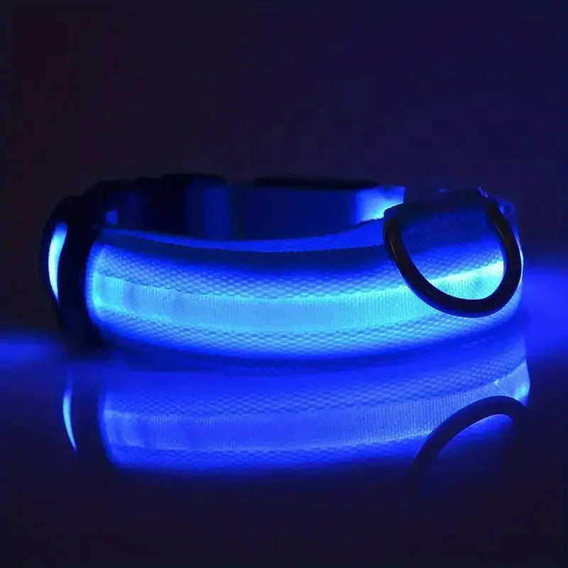 Incredible LED Night Safety Dog Leash Dogs - Mortekk