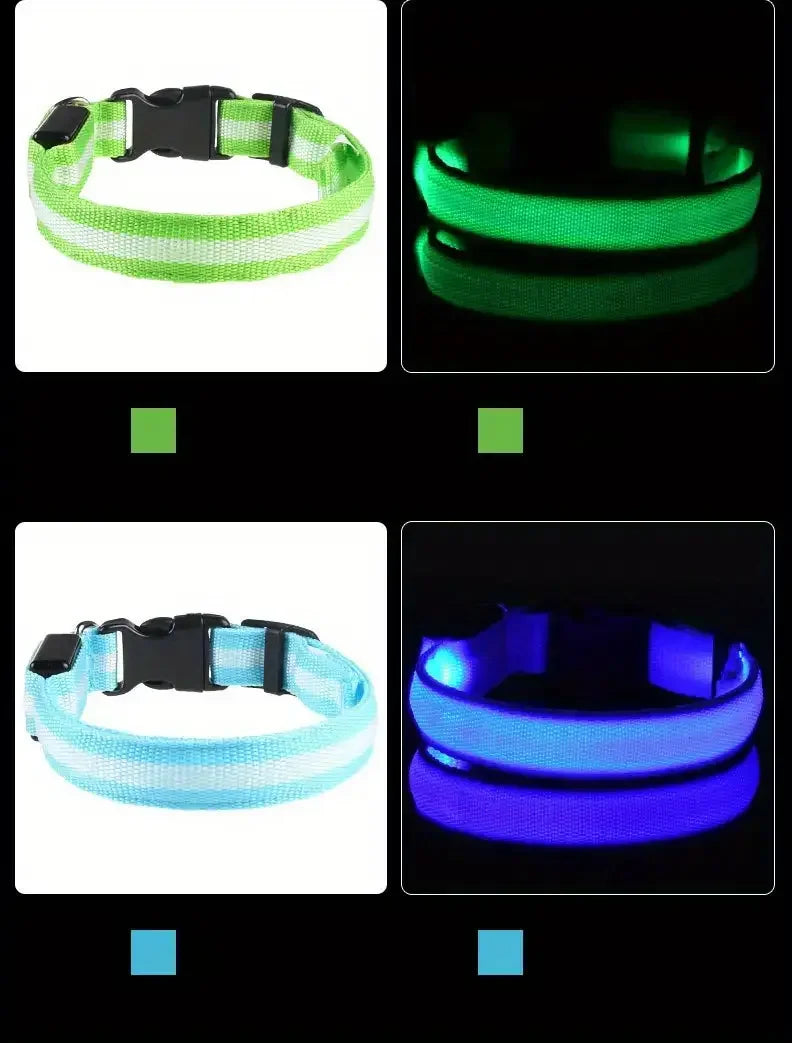 Incredible LED Night Safety Dog Leash Dogs - Mortekk