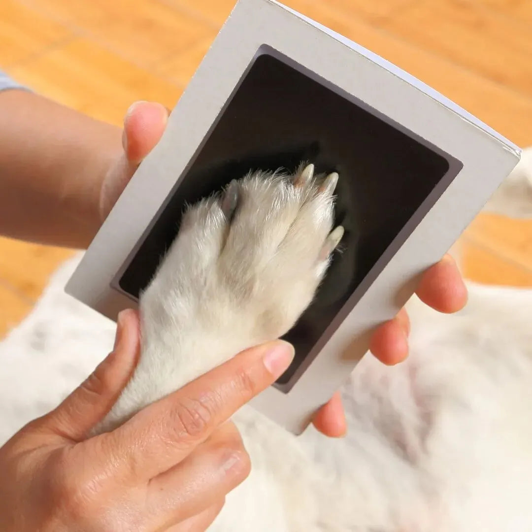 Amazing Paw Print Touch Ink Pad - Mortekk