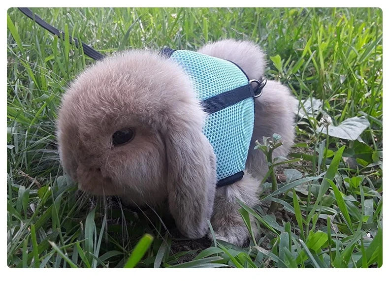 Beautiful Multi-Colors Breathable Stylish Vest - Rabbits - Mortekk