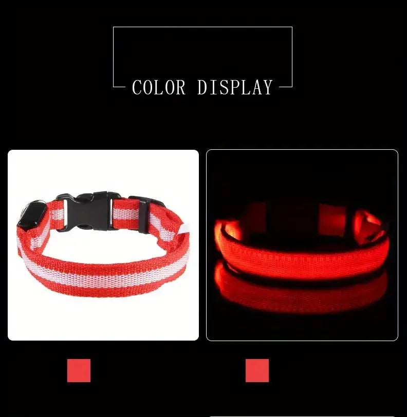 Incredible LED Night Safety Dog Leash Dogs - Mortekk